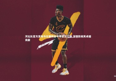 开云体育平台|河北队官方宣布马尔康转会中甲武汉三镇 深情致谢其卓越贡献